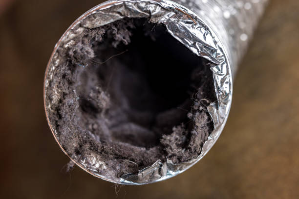 Best Air Duct Mold Removal  in Riverwoods, IL